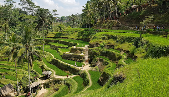 Bali(Indonesia) 1